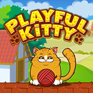 Playful Kitty icon