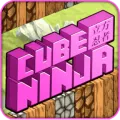 Cube Ninja