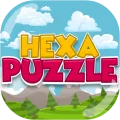 Hexa Puzzle